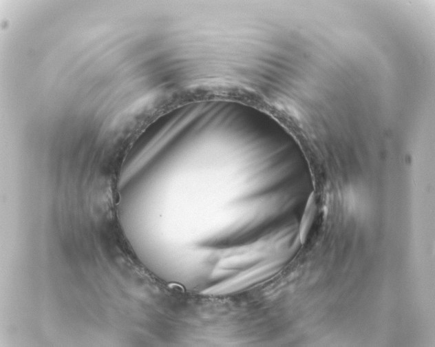 X0000088891062200706221834