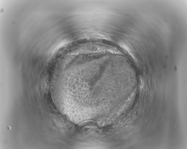 X0000088891063200706221834