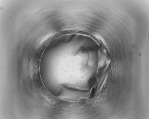 X0000088891064200706221834