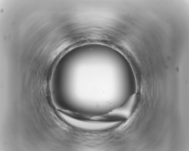 X0000088891065200706221834