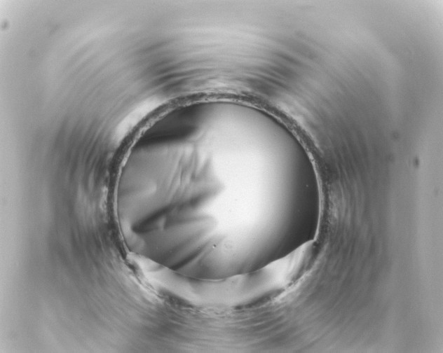 X0000088891066200706221834