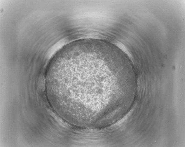 X0000088891067200706221834