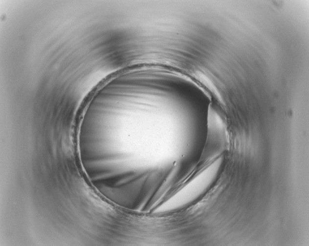 X0000088891068200706221834