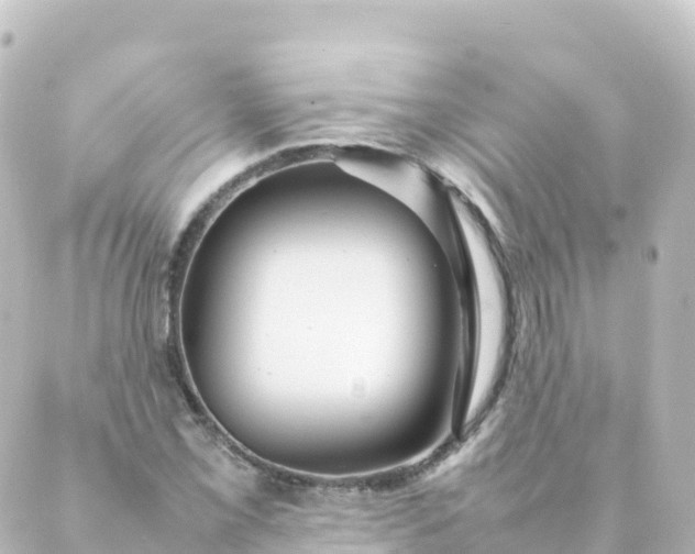 X0000088891069200706221834