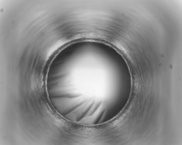 X0000088891070200706221834