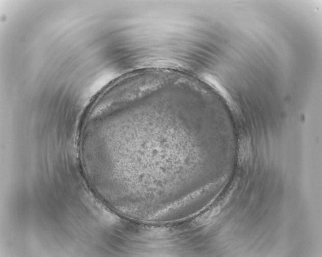 X0000088891071200706221834