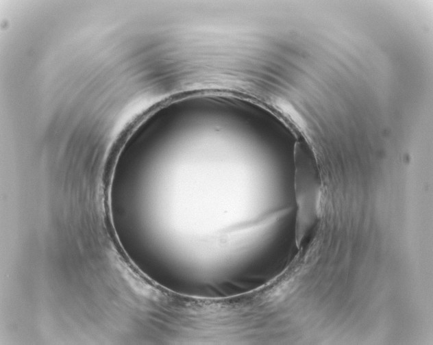 X0000088891072200706221834