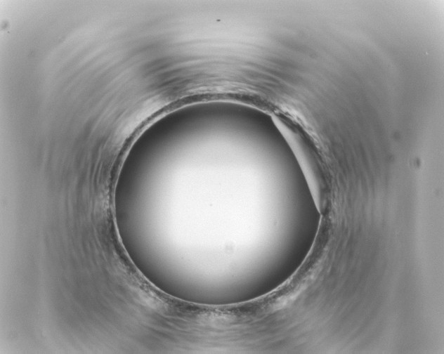 X0000088891073200706221834