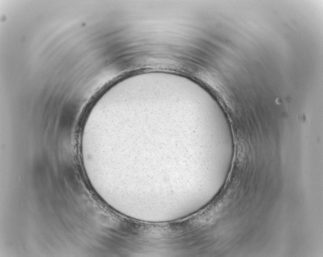 X0000088891074200706221834