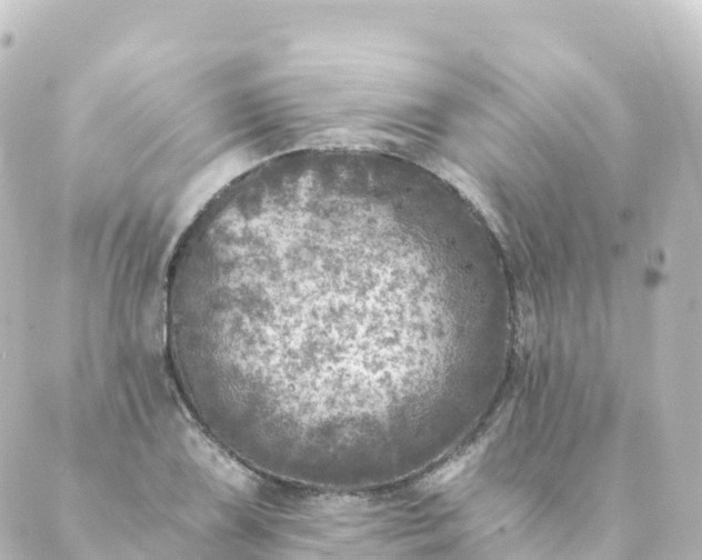 X0000088891075200706221834