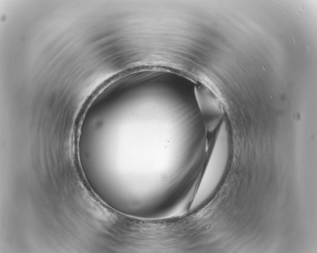 X0000088891076200706221834