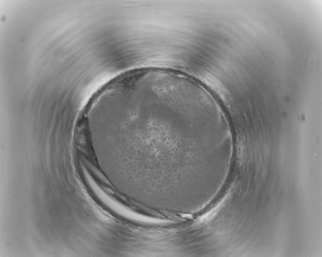 X0000088891077200706221834