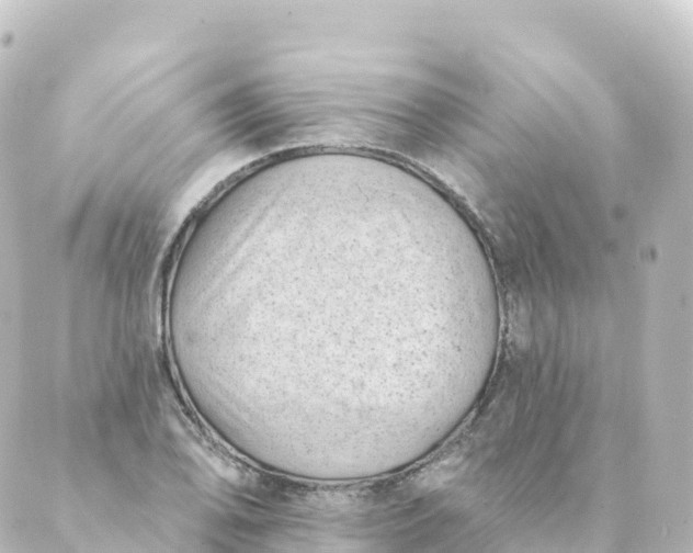 X0000088891078200706221834