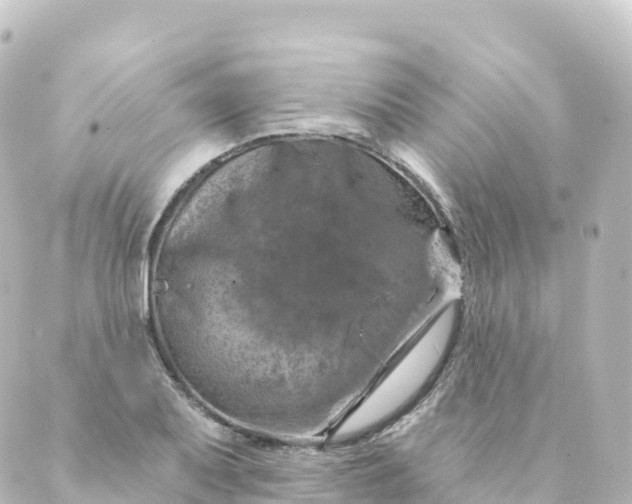 X0000088891079200706221834