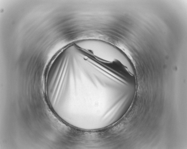 X0000088891080200706221834