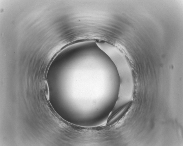 X0000088891081200706221834