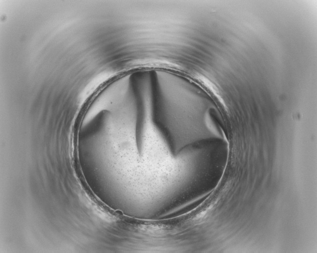 X0000088891082200706221834