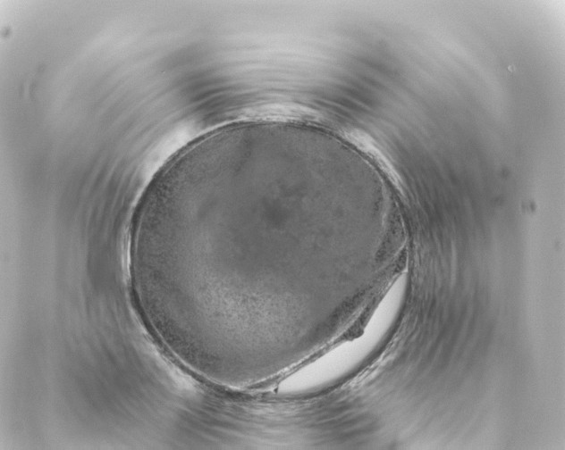 X0000088891083200706221834