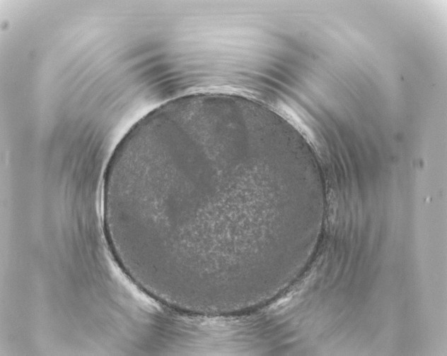 X0000088891084200706221834