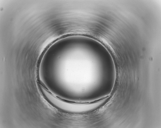 X0000088891085200706221834