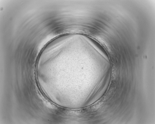 X0000088891086200706221834