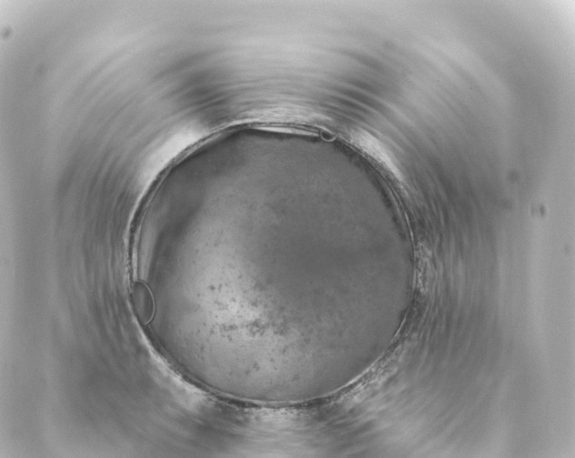 X0000088891087200706221834