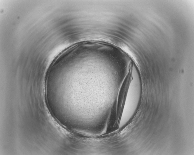 X0000088891088200706221834