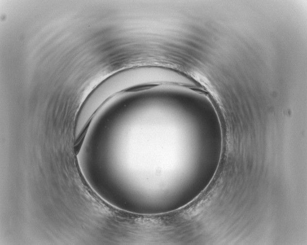 X0000088891089200706221834