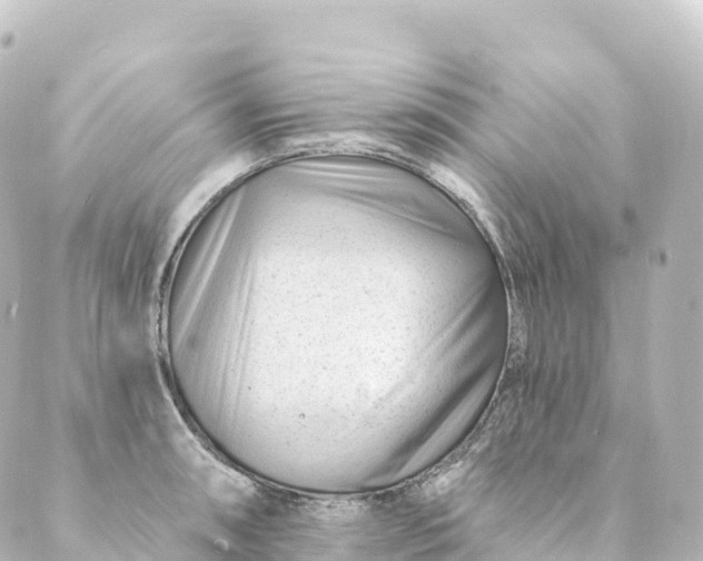 X0000088891090200706221834