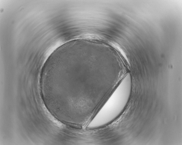 X0000088891091200706221834