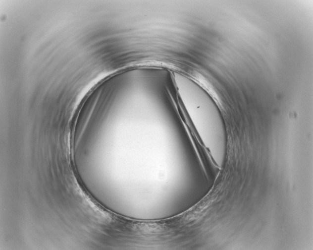 X0000088891092200706221834