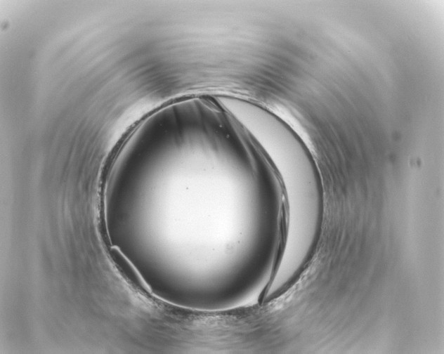 X0000088891093200706221834