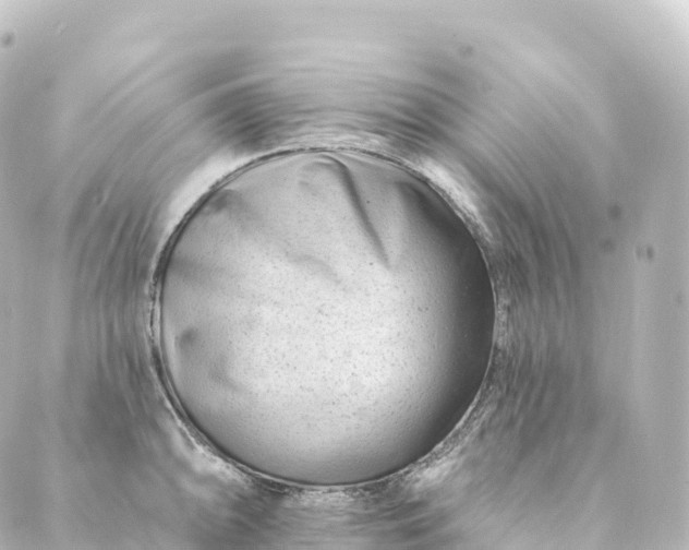 X0000088891094200706221834