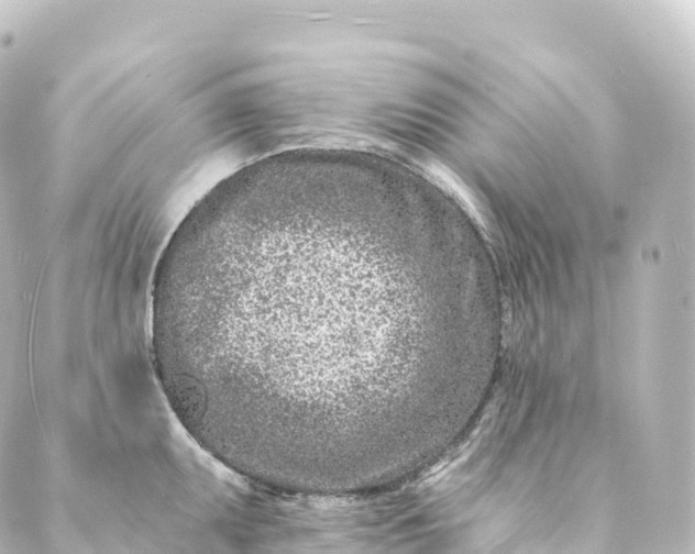 X0000088891095200706221834