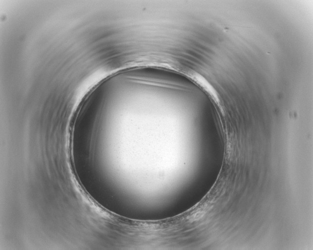 X0000088891096200706221834