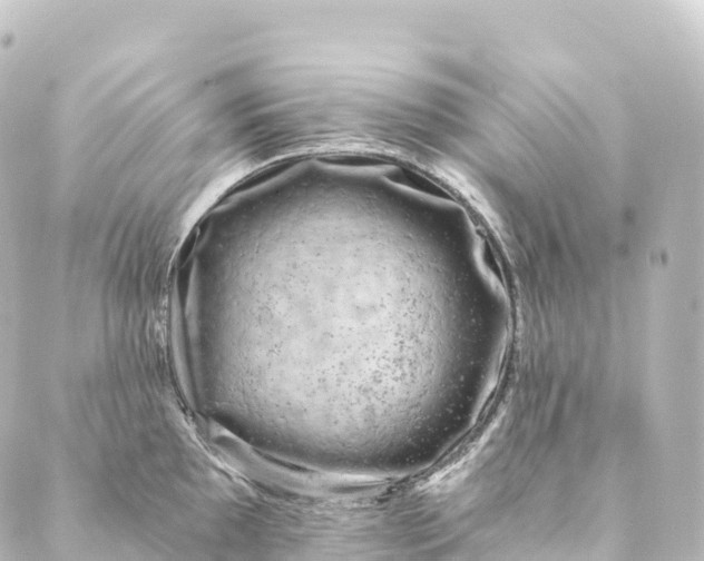 X0000088891097200706221834