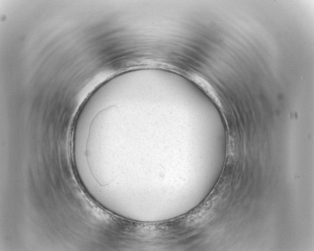 X0000088891098200706221834