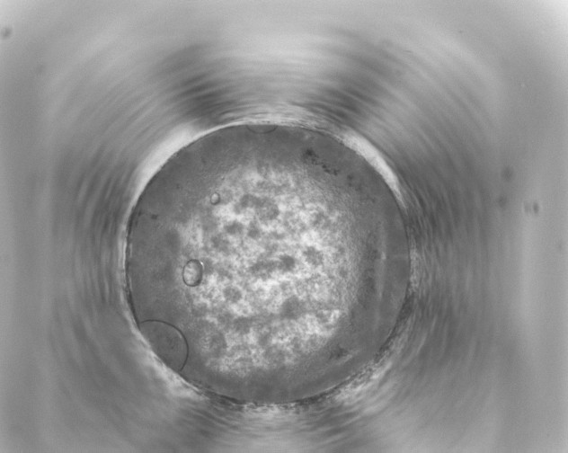 X0000088891099200706221834