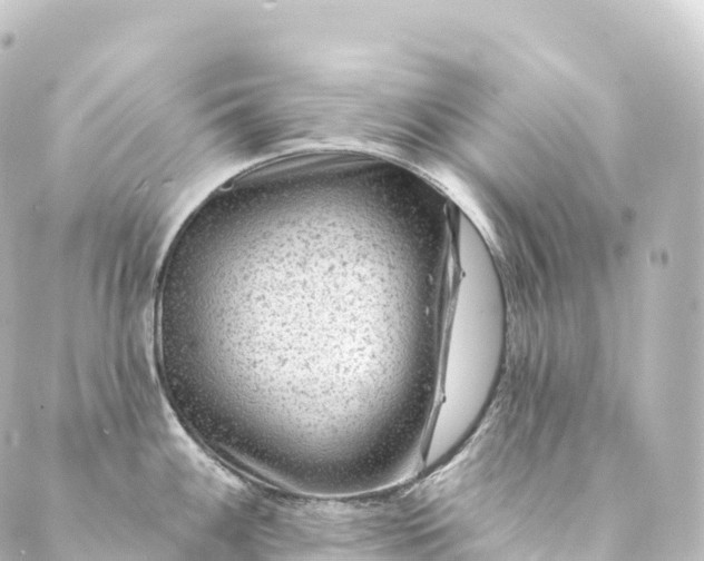 X0000088891100200706221834