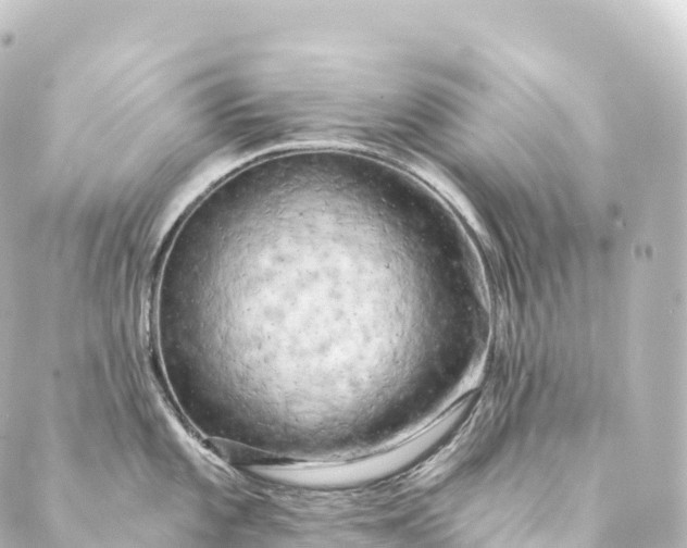 X0000088891101200706221834