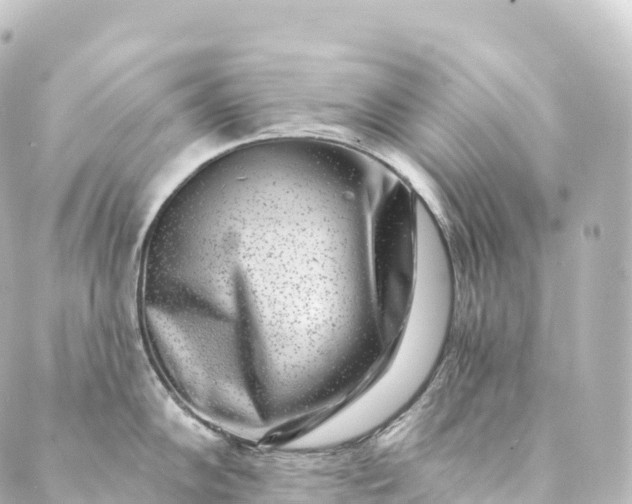 X0000088891102200706221833