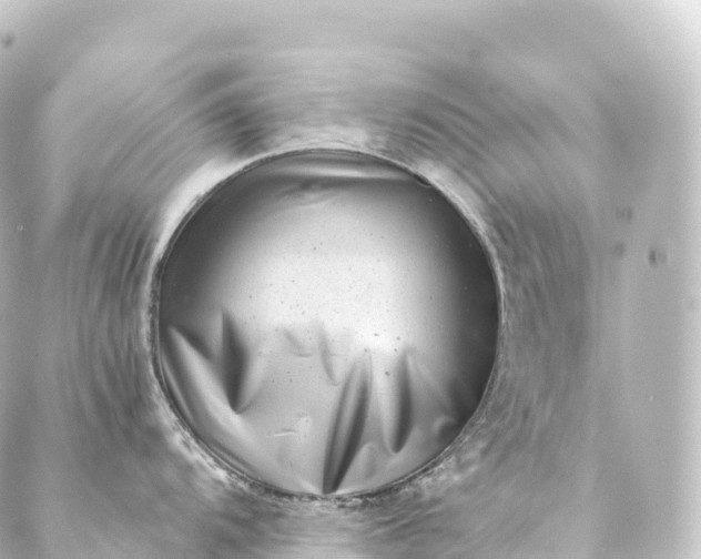 X0000088891104200706221833