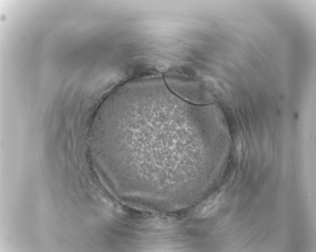 X0000088891105200706221833