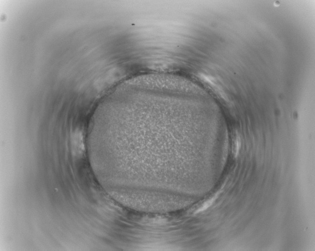 X0000088891106200706221833