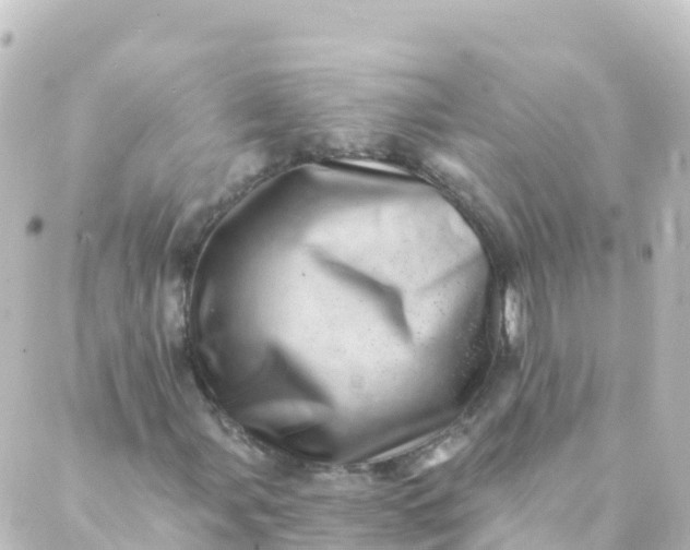 X0000088891107200706221833