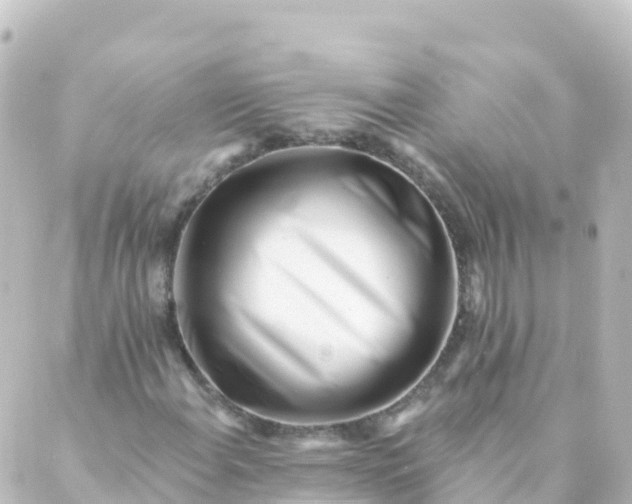 X0000088891108200706221833