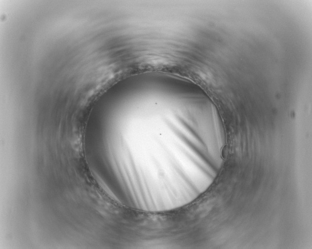 X0000088891109200706221833