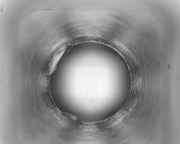 X0000088891110200706221833