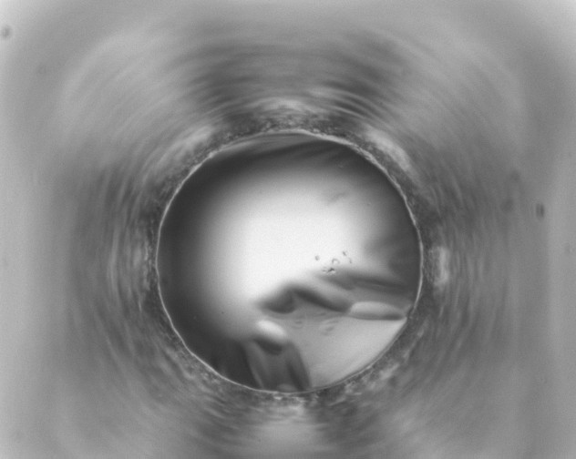 X0000088891111200706221833