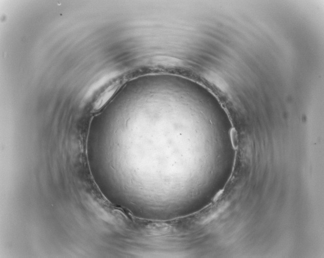 X0000088891112200706221833